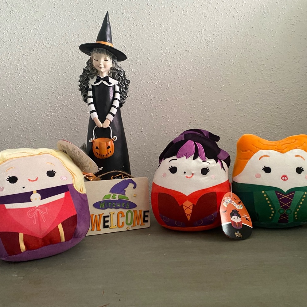 Brand new hocus pocus squishmallows